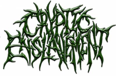 logo Cryptic Enslavement